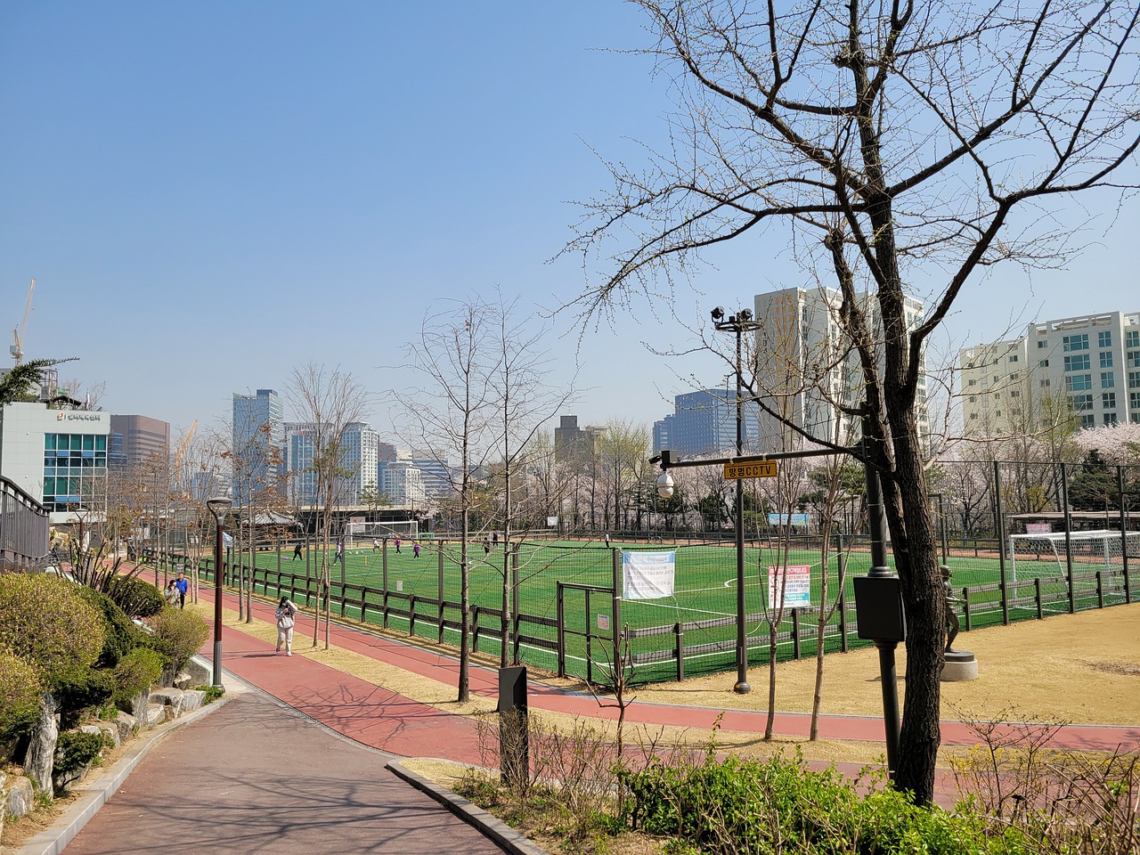 反观四川队