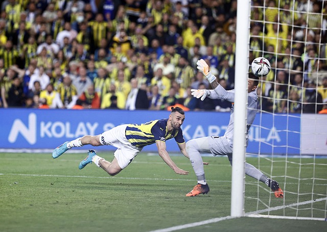 全球的影响 全球的影响