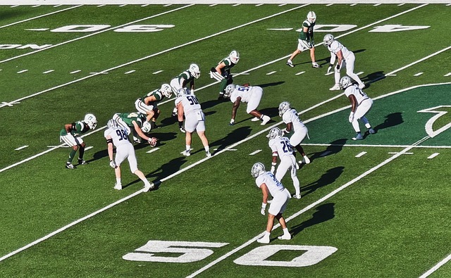 了坚实基础 了坚实基础