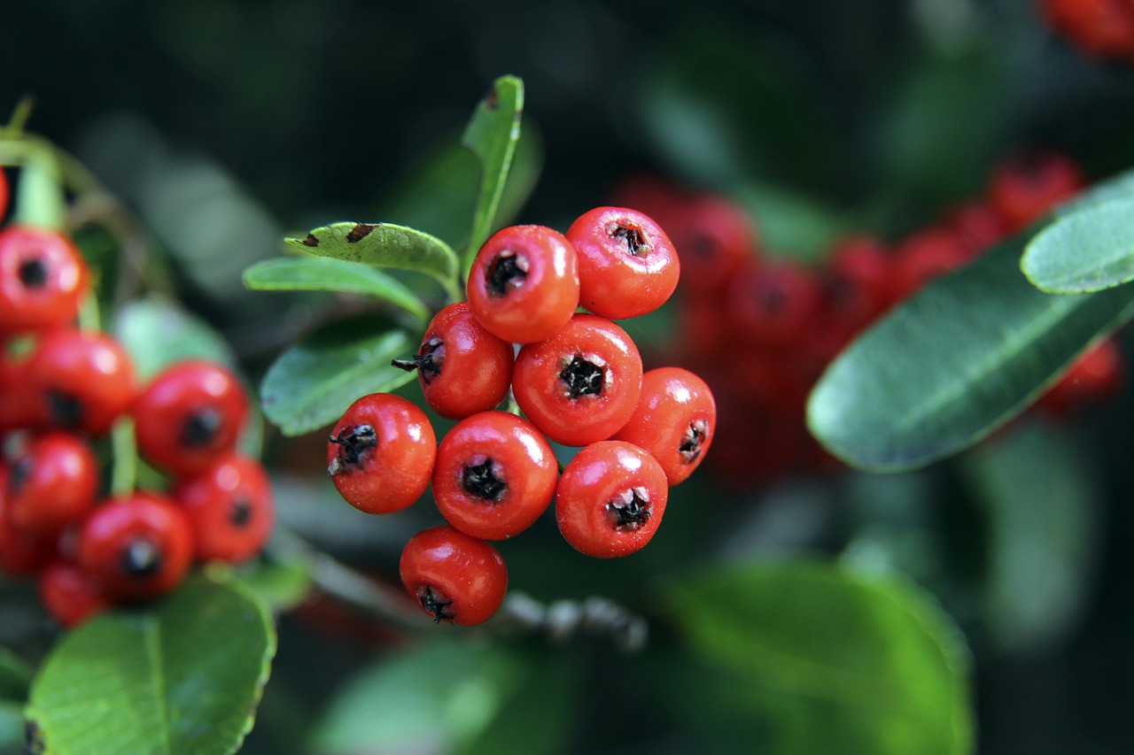 名年轻球员 名年轻球员